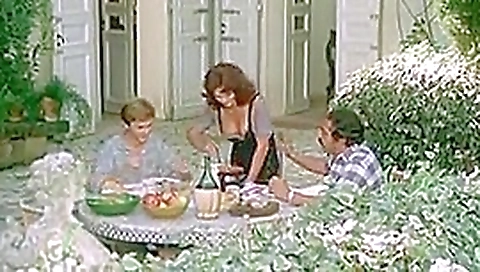 Lezioni private (1975)