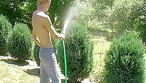 The gardener