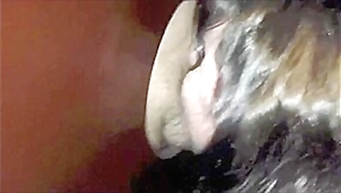 The Ultimate Cum Compilation - 1
